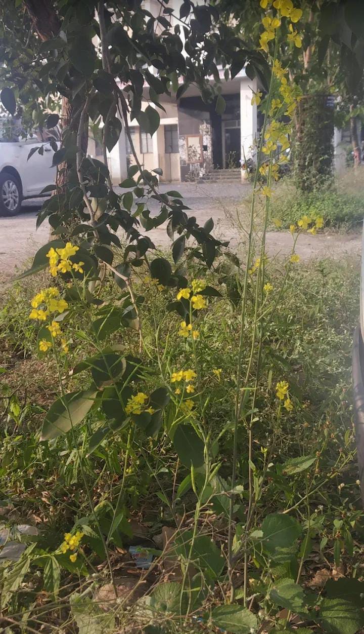 देगलूर